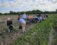 Wyjście klasy 3b na Święto pieczonego ziemniaka 