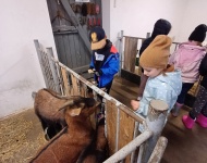 Integrujemy się ze sobą i otaczającą nas przyrodą   