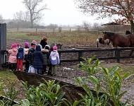 Świąteczne warsztaty w Sielskim Zakątku